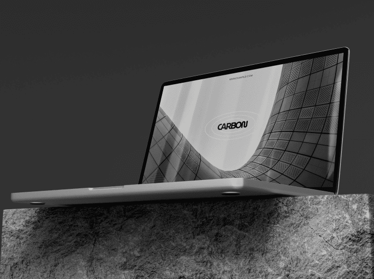 portfolio img 1